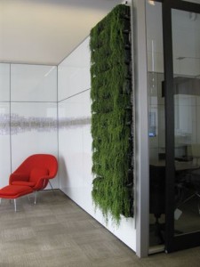 Modular Wall With Live Plants